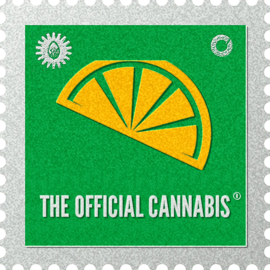 Stamp No 49 Sticker: the design on a kiss-cut stickers