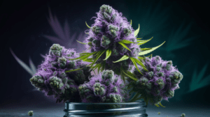 Lime OG Side Effects: What You Should Know